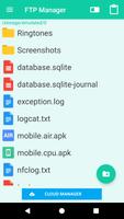 Poster FTP manager