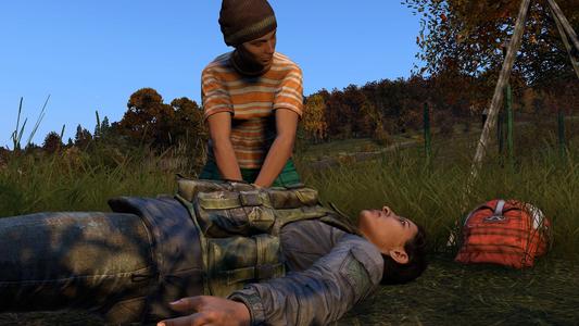 DayZ Mobile syot layar 4