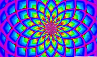 Digital Lotus full version تصوير الشاشة 1