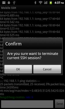 Mobile SSH 截图 15