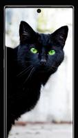 1 Schermata Black Cat Wallpapers