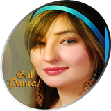 Gul Panra أيقونة