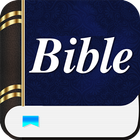 Modern English Version Bible icône