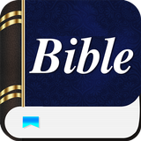 Modern English Version Bible icône