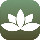 Modern Wellness & Drip APK
