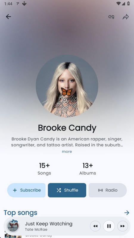 ArchiveTune screenshot 5