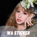 Momo Twice WASticker