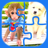 Monkey Baby BonBon Puzzle Game