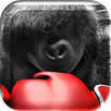 Monkey Boxing Live Wallpaper APK