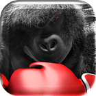 Monkey Boxing Live Wallpaper icon