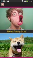 پوستر LOL Funny Pics