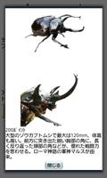 Beetle waging war screenshot 2