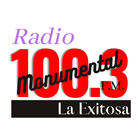Radio: Monumental 100.3 FM-icoon