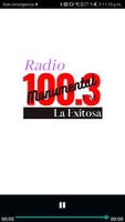 Radio: Monumental 100.3 FM-poster