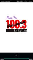 Radio: Monumental 100.3 FM captura de pantalla 3