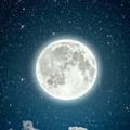 Moon Wallpaper