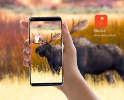 Moose Sound Effects bài đăng
