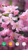 Sakura Cherry Blossom Wallpaper (HD) screenshot 3