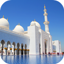 Mosque Sheikh Zayed Wallpaper APK