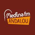 MEDINA ANDALOU