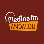 MEDINA ANDALOU