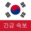 한국 속보 : 최신 지역 뉴스 및 속보