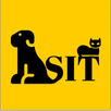 Sit - Pet Sitters in Morocco APK
