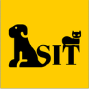 APK Sit - Pet Sitters in Morocco
