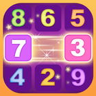 Number Match أيقونة