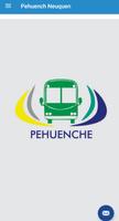 Pehuenche Neuquen Affiche