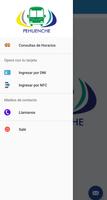 Pehuenche Neuquen Screenshot 3