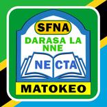 Matokeo Ya Darasa la Nne(SFNA)