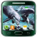 Dauphins Fond D'écran Animé APK