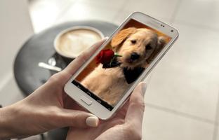 Köpek yavrusu Duvar Kağıtları gönderen
