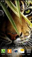 Tiger Live Wallpaper اسکرین شاٹ 2