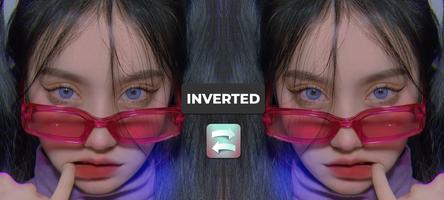 Inverted Filter (Trending Inverted Effect) Affiche