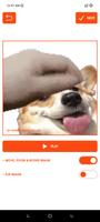 Petpet Generator - Meme Maker ảnh chụp màn hình 1