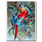 Macaw Bird HD Wallpaper biểu tượng