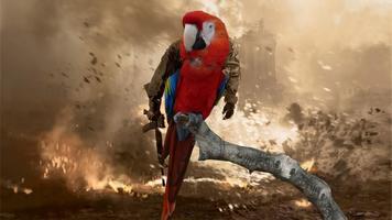 Macaw Bird HD Wallpaper plakat
