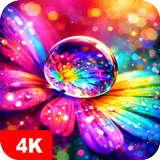 Macro Wallpapers 4K-APK