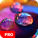 Macro Wallpapers PRO