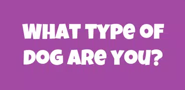 What Type Of Dog Are You?