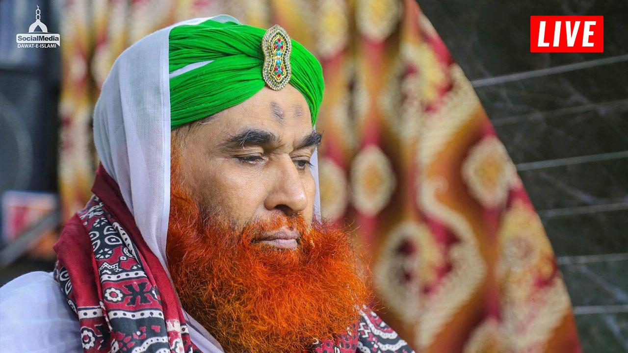 Madani Channel Live & Madani Cartoon APK 0.1 Download for Android
