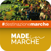 Made in Marche