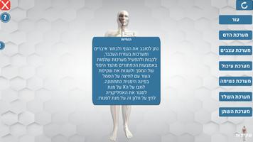 אנטומיה+AR 海報