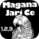Magana Jarice littafi na 1,2,3 APK