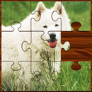 APK Puzzle Games: Magic Jigsaw Puzzles for Free Game