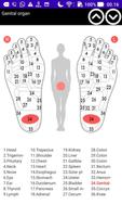 Foot Reflexology Plakat