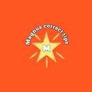 Magnus correct tips APK