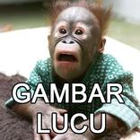 Gambar Lucu
